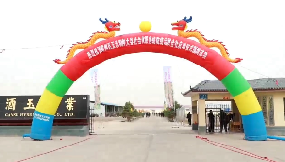 ףRC݅^ƷNhսyy熢ӃxʽAMɹ